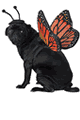California Costumes ＜Lady Cat＞ Monarch Butterfly Dog Costume画像