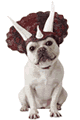 Triceradog Costume