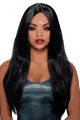 Long Straight Wig