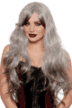 Long Wavy Wig With Faux Ombre
