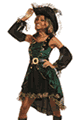 Dreamgirl ＜Lady Cat＞ Emerald Pirate Costume