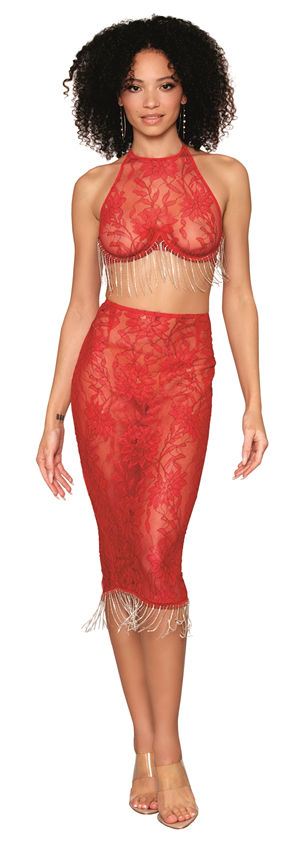 コスチューム LDG13038