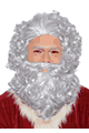 Santa Wig and Beard