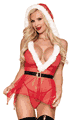 Santa Mesh babydoll Set