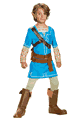 Link Breath Of The Wild Deluxe Boys Costume