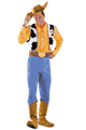 Woody Deluxe Adult Costume