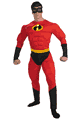 Disguise ＜Lady Cat＞ Mr.Incredible Deluxe Muscle Adult Costume