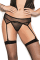 Fishnet Garter Belt and Panty