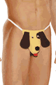 Dog Pouch
