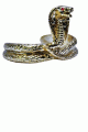 Forum Novelties ＜Lady Cat＞ Plastic Snake Armband画像