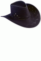 Cowboy Hat