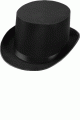 Forum Novelties ＜Lady Cat＞ Satin Top Hat