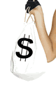 Money Handbag