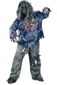 Complete Zombie Plus Size Costume