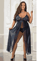 Empire Waist Laced Sheer Long Dress and Panty