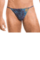 KINIKI Collection ＜Lady Cat＞ Blue Amalfi Tan Through Swim Tanga