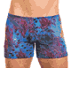 KINIKI Collection ＜Lady Cat＞ Blue Amalfi Tan Through Swim Shorts