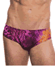 KINIKI Collection ＜Lady Cat＞ Purple Amalfi Tan Through Deep Waist Swim Brief画像