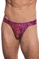 KINIKI Collection ＜Lady Cat＞ Purple Amalfi Tan Through Swim Thong画像