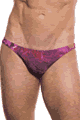 KINIKI Collection ＜Lady Cat＞ Purple Amalfi Tan Through Swim Micro Brief画像