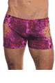 KINIKI Collection ＜Lady Cat＞ Purple Amalfi Tan Through Swim Shorts画像