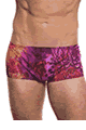 KINIKI Collection ＜Lady Cat＞ Purple Amalfi Tan Through Swim Trunks画像