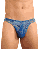 KINIKI Collection ＜Lady Cat＞ Azure Tan Through Swim Thong