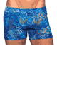 KINIKI Collection ＜Lady Cat＞ Azure Tan Through Swim Shorts画像