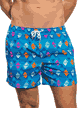 Beach Board Shorts Aztec