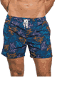 Beach Board Shorts Turtles