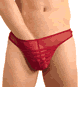 KINIKI Collection ＜Lady Cat＞ Cage Thong Scarlet Red画像