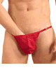 KINIKI Collection ＜Lady Cat＞ Fizzy Clip Side Thong Scarlet Red画像