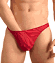 KINIKI Collection ＜Lady Cat＞ Fizzy Thong Scarlet Red画像