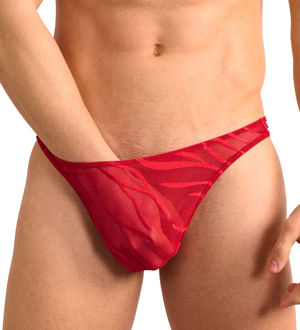 LKKFIZLH-SR 通販ショップ