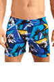 KINIKI Collection ＜Lady Cat＞ Fflorida Ttan Through Deep Swim Shorts