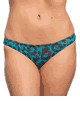 KINIKI Collection ＜Lady Cat＞ Jade Tan Through Bikini Brief (Ltd Print)