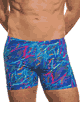 Spectre Swim Shorts