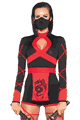 Dragon Ninja Costume