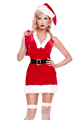 Miss Claus Costume