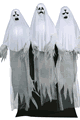 Morris Costumes ＜Lady Cat＞ Haunting Ghost Trio Animated