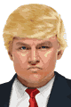 Trump Billionaire Wig