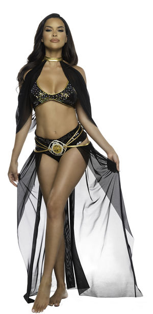 LRB6613 通販ショップ