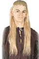 RUBIE'S ＜Lady Cat＞ Adult Legolas Wig - Lord of the Ring画像