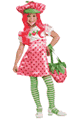 RUBIE'S ＜Lady Cat＞ Deluxe Strawberry Shortcake Costume画像