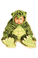 Underwraps ＜Lady Cat＞ Turtle Green Toddler Costume画像