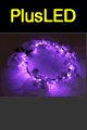 Purple One Size