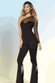Black S